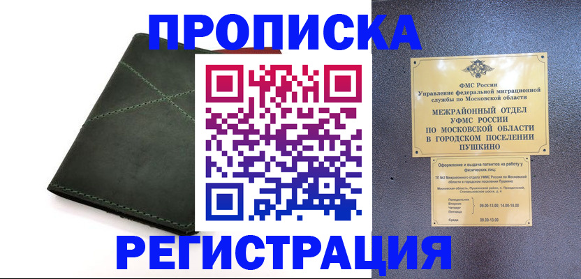 прописка в квартире в Ершове